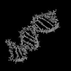 05_kod_genetyczny
